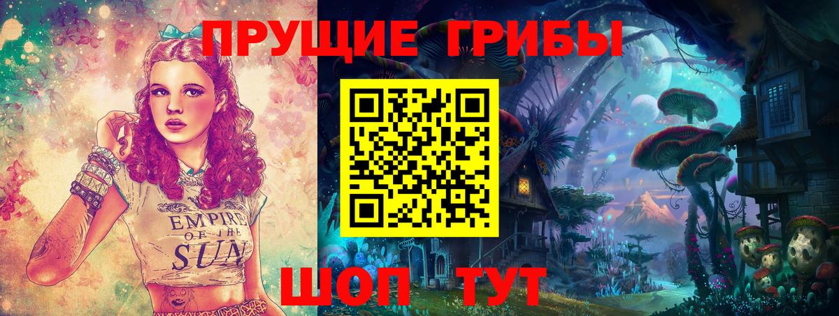 Сокол  Псилоцибиновые грибы прущие грибы  Псилоцибиновые грибы Magic Shrooms  Вход с VPN 