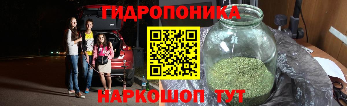 Бошки Шишки план  Каннабис Ganja  Сокол  Вход с VPN  Бошки марихуана OG Kush 
